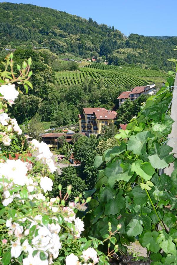 Residence Am Weinberg / Travellers Hotelbetriebs Gmbh 사스바흐발덴 외부 사진